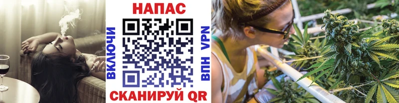 Бошки Шишки планчик  Купить  Невель 